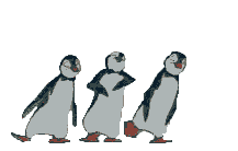 tučniak animované-obrázky-gif